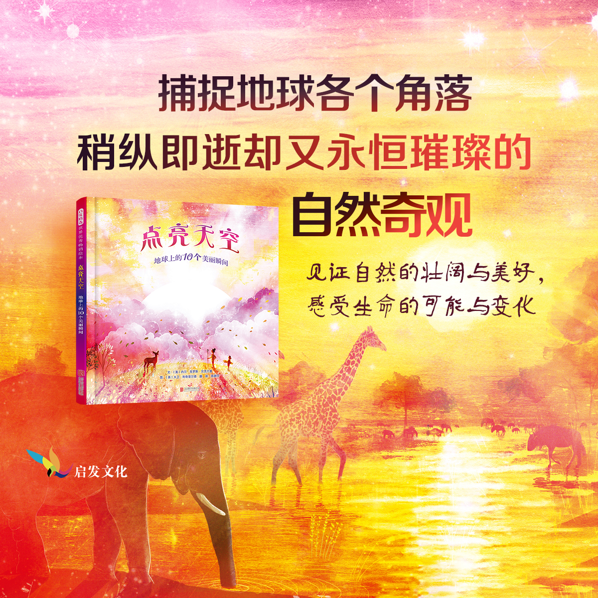 【官方直营】点亮天空：地球上的10个美丽瞬间 大卫利奇菲尔德力作 诗意文字科普自然 绚丽插画演绎神奇天空 激发好奇 引领探索