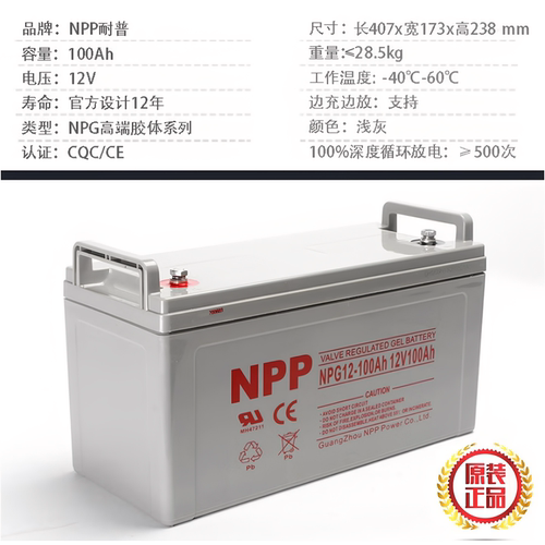 NPP耐普蓄电池12V100AhUPS/EPS