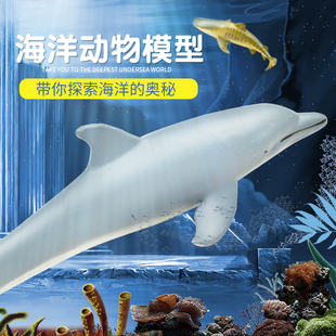 巨齿鲨海洋动物玩具仿真模型海龟海豚鲸鱼虎鲨海狮儿童小朋友礼物