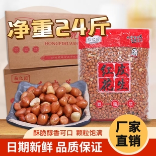 油炸花生米下酒菜熟红皮原味咸味花生净重24斤散装新货整箱商用