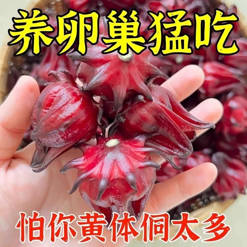 黄体酮茶种子循环养雌茶亚麻籽无花果桑葚黑枸杞养生包降雄茶卵巢