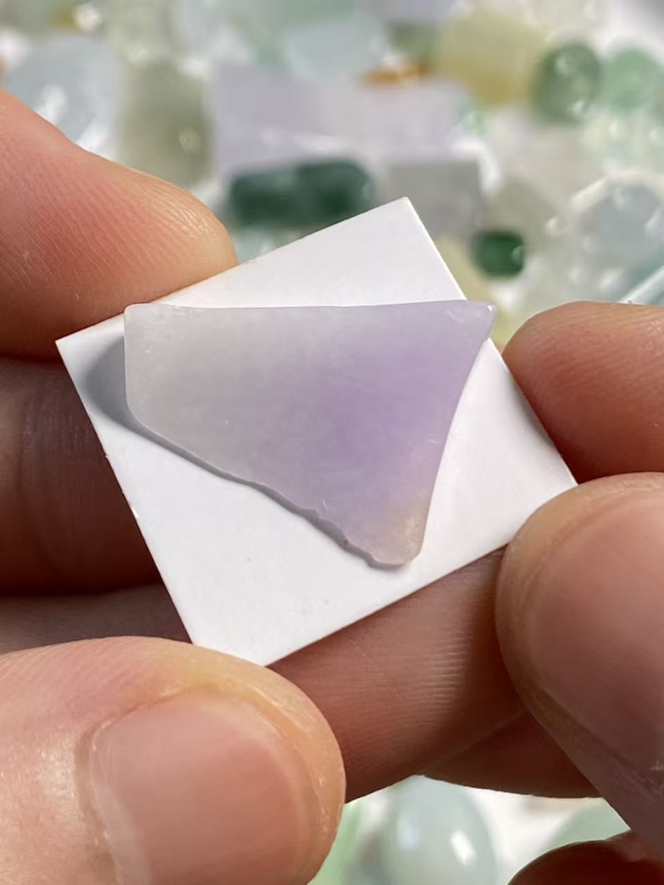 紫罗兰随行料子