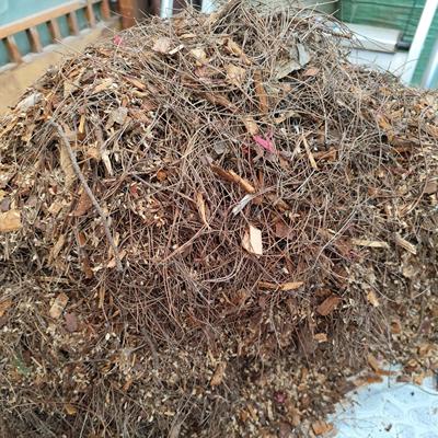 兰花专用营养土已杀虫已杀菌