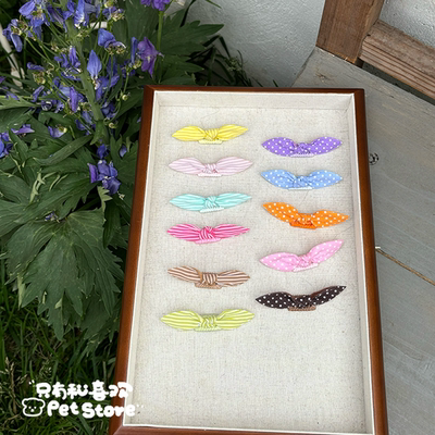 立体发箍不掉宠物发夹蝴蝶结发夹碎发饰品猫咪头饰比熊马尔济斯