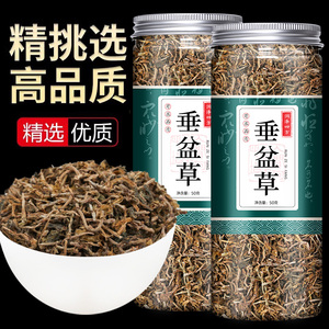 垂盆草中药材正品官方旗舰店垂盆草新鲜植物颗粒护肝食用泡茶功效