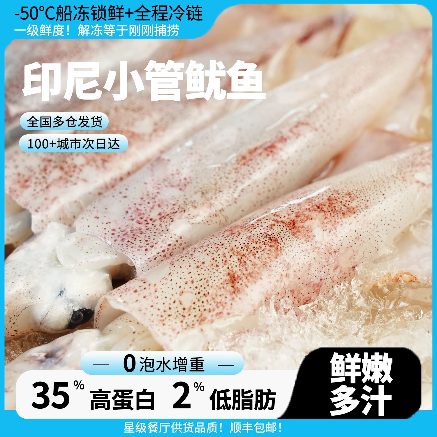 印尼小管鱿鱼船上活冻小鱿鱼灯光捕捞笔管鱿鱼吹筒仔 顺丰包邮