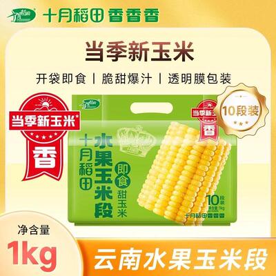 十月稻田黄金鲜食水果玉米段云南甜玉米清甜爽脆爆汁可口开袋即食