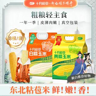 十月稻田黄糯玉米棒白糯米香甜糯东北黏苞米好吃可拉丝铝膜真空装