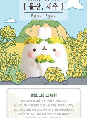 韩国正版MOLANG土豆兔萌浪兔济州岛限定可爱盲盒手办摆件