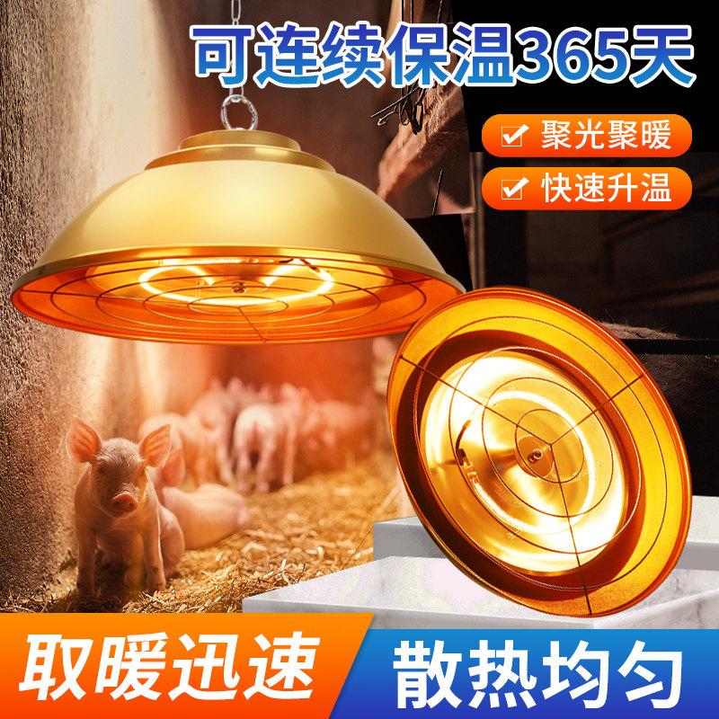 保温灯养殖场专用可调温度卤素育雏小鸡仔猪取暖灯泡养殖加热灯罩