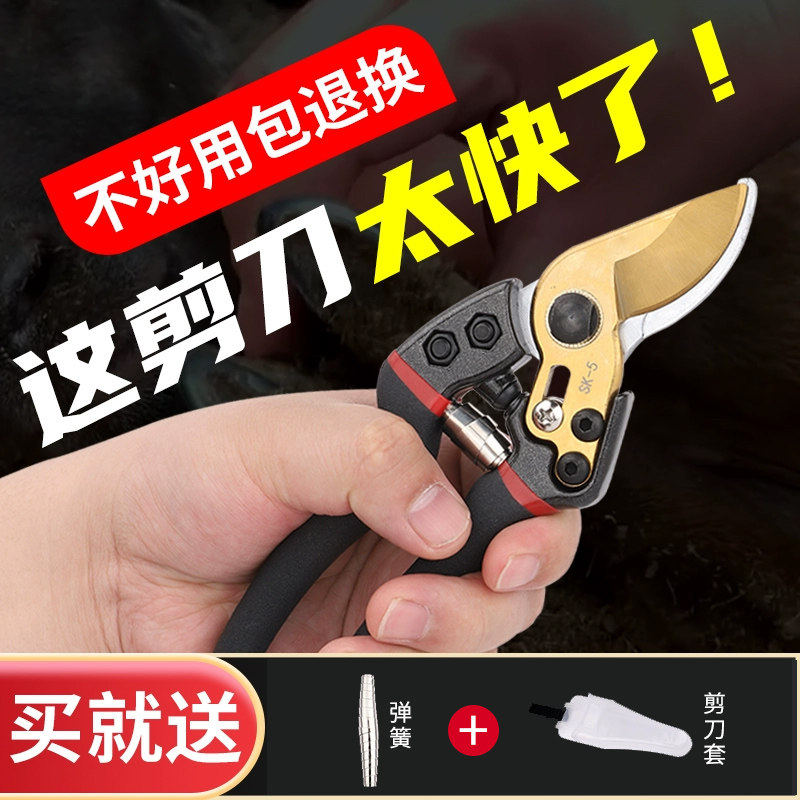 修羊蹄子剪刀修猪蹄钳子兽用剪脚趾指甲剪刀神器牛蹄修理专用工具