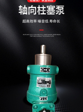 柱塞泵10/25/40/63/80/160/250MCY14-1B轴向柱塞泵