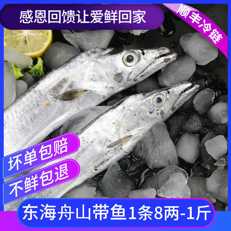 四斤装 舟山带鱼新鲜东海野生小眼睛带鱼特大超大鲜活刀鱼无冰