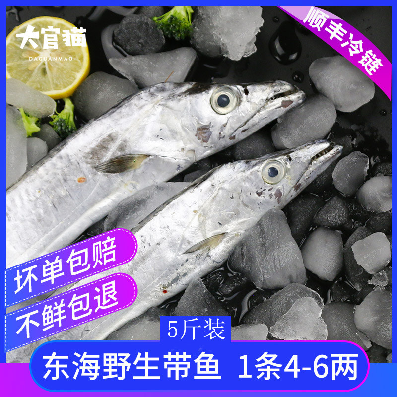 舟山东海小眼睛野生带鱼刀鱼新鲜特级大带鱼整条 无冰 5斤装包邮