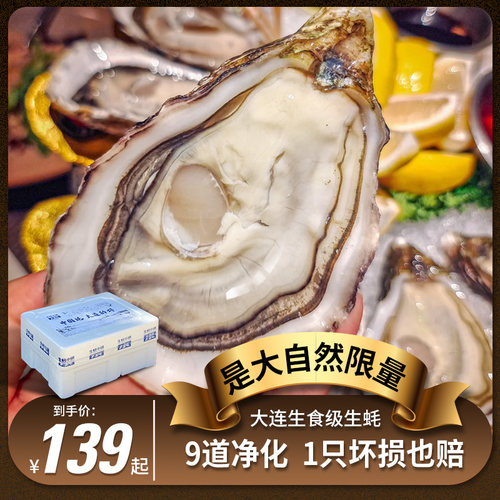 生蚝小镇大连生蚝新鲜水产特大鲜活牡蛎海鲜海蛎子10斤家庭装