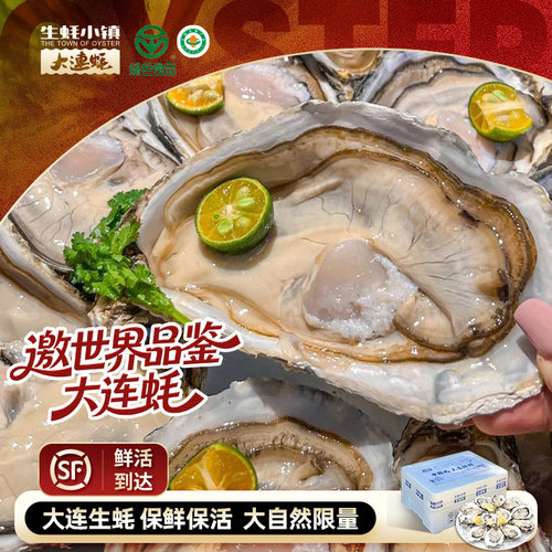 生蚝小镇大连生蚝海鲜生蚝新鲜5斤送半斤家庭装独立包装大连特产