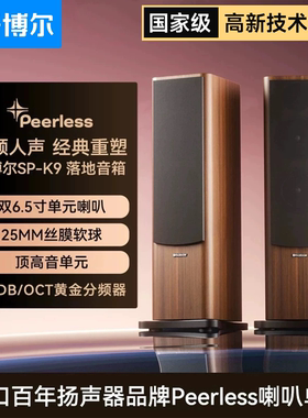 开博尔SP-K9无源音箱双6.5寸丹麦进口喇叭单元发烧hifi落地音响