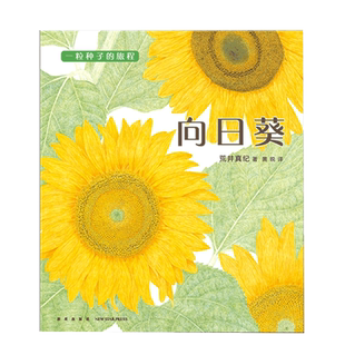 向日葵  “一粒种子的旅程”系列03 2017年布拉迪斯拉发国际插画双年展（BIB）金苹果奖得主作品 植物学博士史军推荐