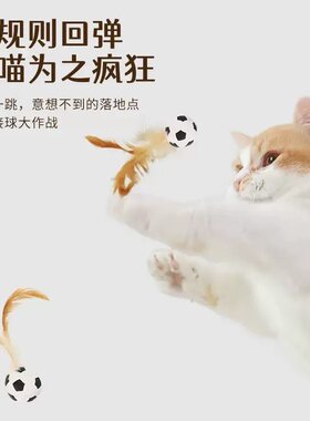 回弹足球猫狗互动益智玩具户外