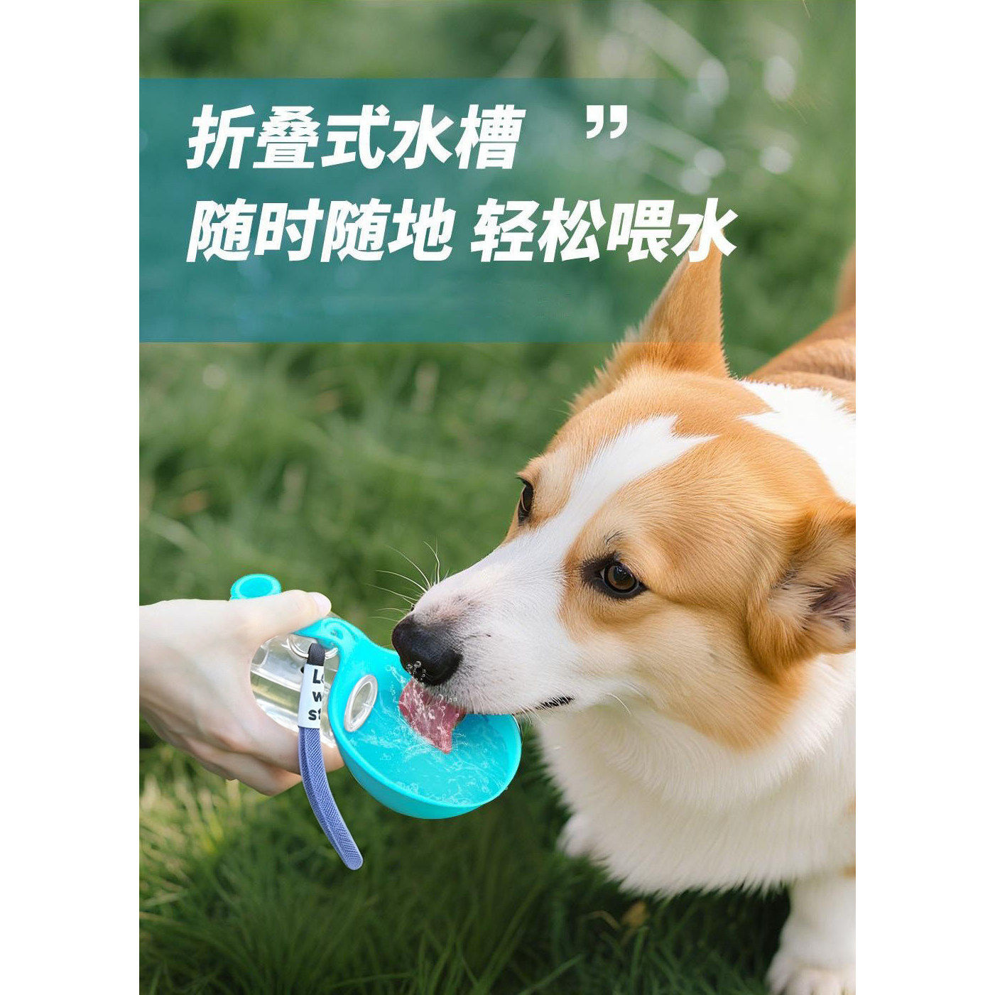 折叠挂式宠物饮水器狗猫户外