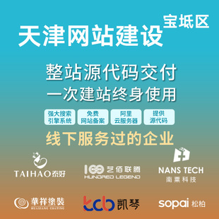 天津宝坻区网站建设开发定制 公司企业搭建设计官网 外贸站架设