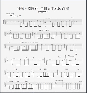 电子版 许巍 改编Solo曲全谱 谱 蓝莲花 伴奏