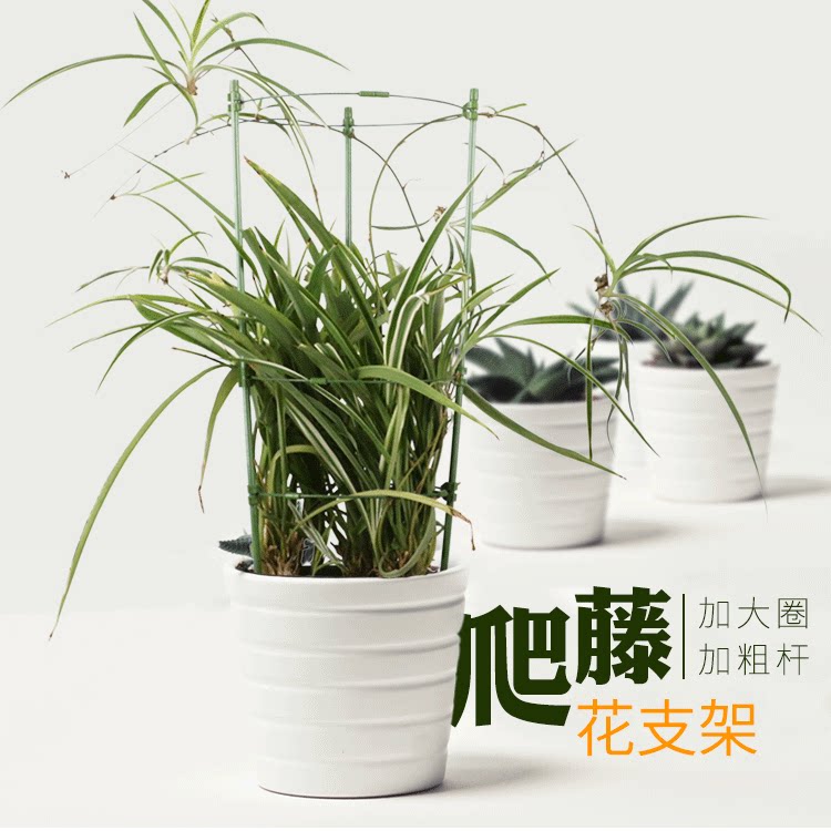 爬藤花架子花支架绿萝花架金钱树室内花卉支撑杆园艺铁线莲攀爬架