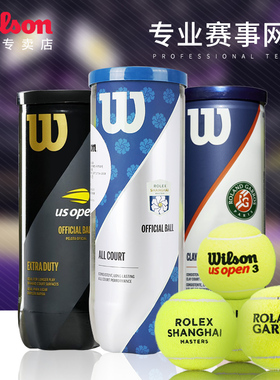wilson威尔胜上海大师赛法网美网专业比赛网球3粒装初学训练用球