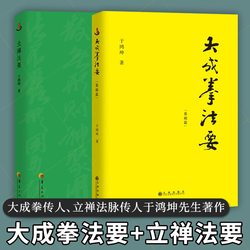 传统武术精髓中国传统文化大成拳名家于鸿坤讲述拳学真意王芗斋拳法