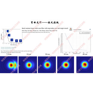 【承诺绝不倒卖 客户定制模型】FDTD 光纤 波导 光电子 Rsoft