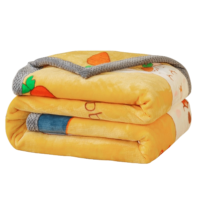 加厚牛奶绒毛毯冬季空调毯绒床单