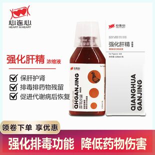 心连心鸽药大全信鸽幼鸽调理赛鸽子强化肝精鸽用排毒电解质水鸟