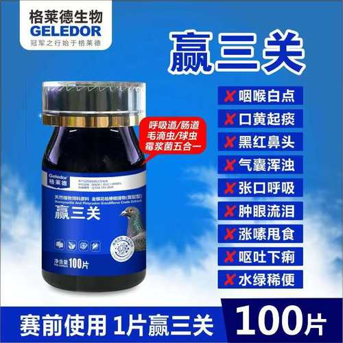 新品格莱德赢三关赛鸽上