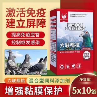 欧耐德鸽药六联口服苗赛信鸽新城疫沙门氏衣原体鸽痘专用疫苗鹦鹉