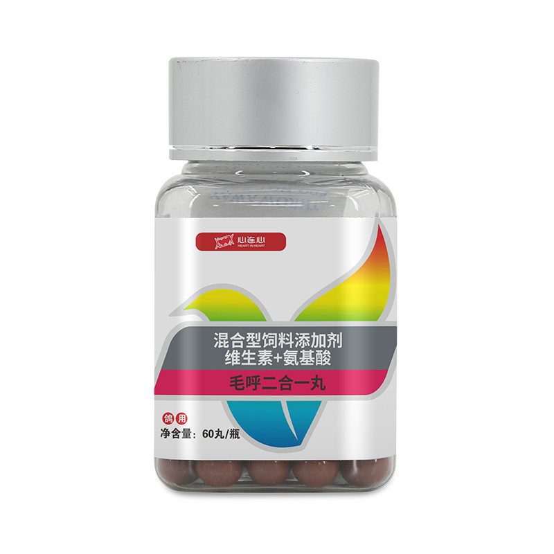 心连心毛呼二合一丸60丸信鸽用品赛鸽子用品