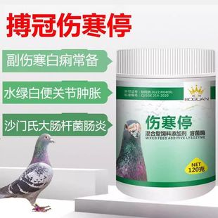 搏冠鸽药伤寒停粉剂120克赛信鸽子用品肠道沙门氏副伤寒鹦鹉博冠