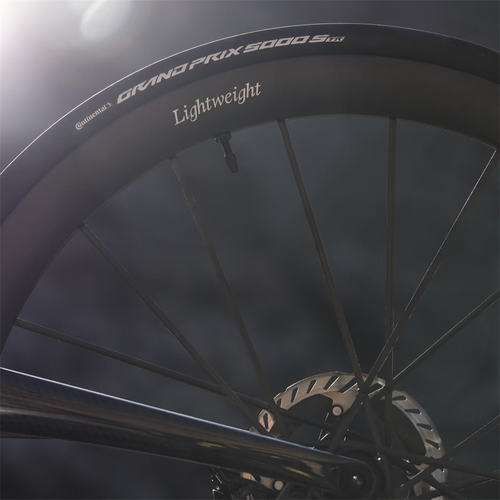 德国LW Lightweight Meilenstein ART 老王公路车一体碳辐条轮组