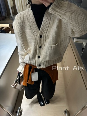 Plant Ale 2025秋冬新款粗羊毛显瘦V领长袖针织开衫