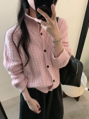 Dumpling 2025冬季新款韩系简约百搭高领麻花浣熊开衫