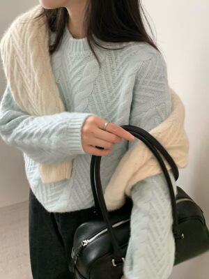 Dumpling 2025冬季新款韩系简约百搭圆领浣熊麻花毛衣