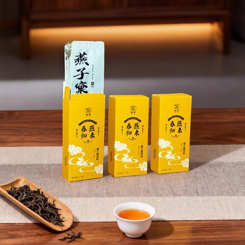 福建春中火51克燕子窠正岩肉桂试喝茶叶武夷岩茶果香桂皮香简约装