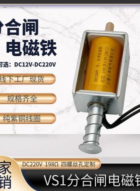 VS1分合闸电磁铁ZN63线圈DC220V131.5欧198欧DC24vAC220V可定制