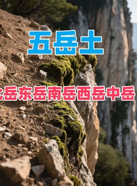 （道长亲采）东岳泰山土五行土五色土补房屋缺角五岳土