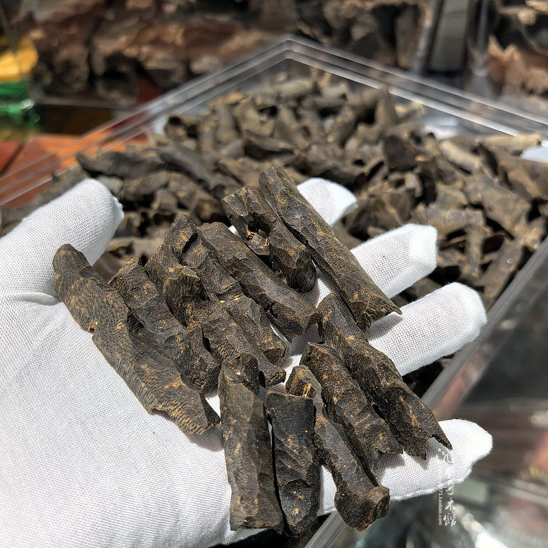 国香奇楠母树沉水虫漏棋楠沉香