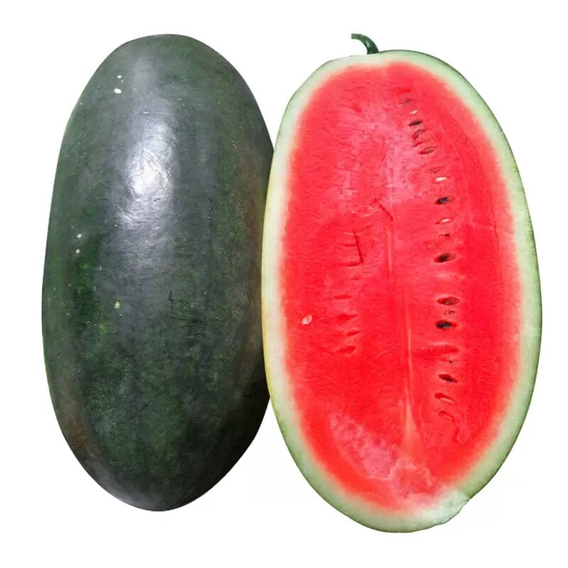 黑美人西瓜种子种籽苗麒麟黑皮8424秧南方种植子蔬菜水果种子