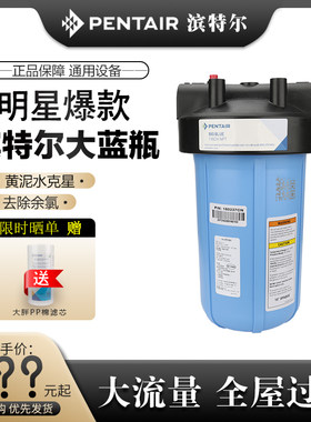 滨特尔大蓝瓶活性炭去余氯过滤器