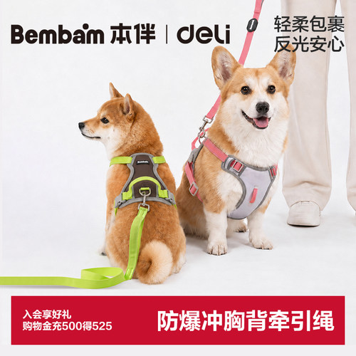 得力Bembam防挣脱反光狗牵引绳