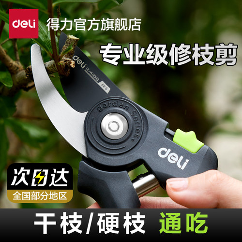得力工具剪枝果树修剪修枝剪刀
