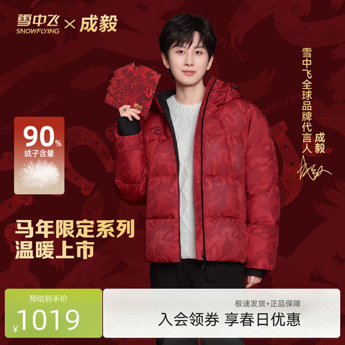 雪中飞复古多彩时尚面包男羽绒服