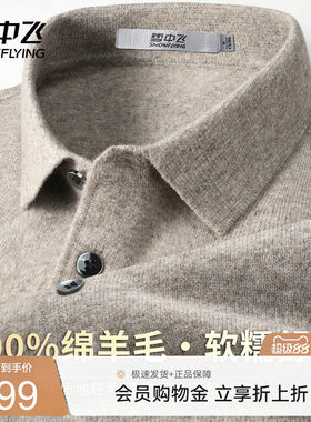 雪中飞内搭休闲【100%绵羊毛】男式羊毛衫春季翻领纽扣温暖上衣W